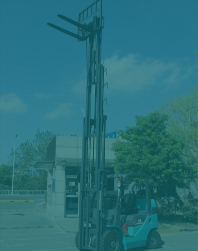 Servicios