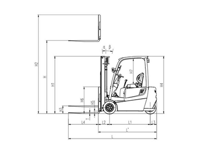 Contorno